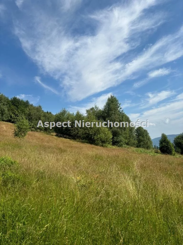 Działka 25 399,00 m², oferta nr , ASJ-GS-48975, Brenna