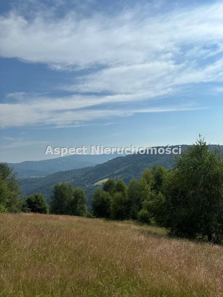 Działka 25 399,00 m², oferta nr , ASJ-GS-48975, Brenna