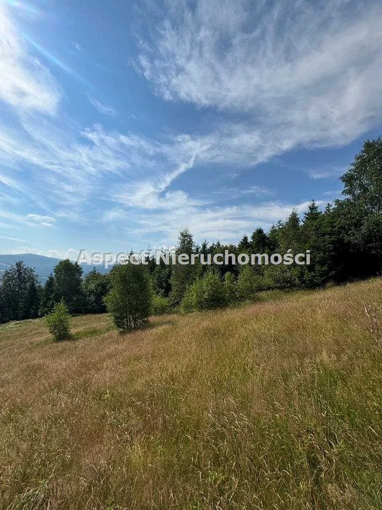 Działka 25 399,00 m², oferta nr , ASJ-GS-48975, Brenna