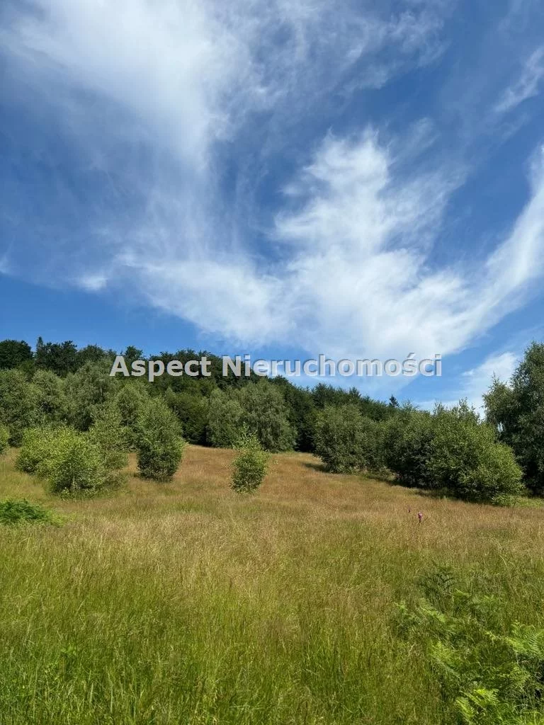 Działka 25 399,00 m², oferta nr , ASJ-GS-48975, Brenna