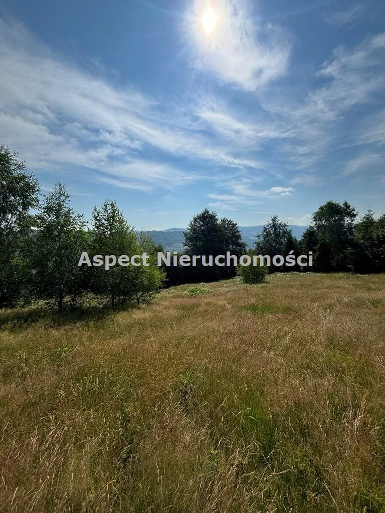 Działka 25 399,00 m², oferta nr , ASJ-GS-48975, Brenna