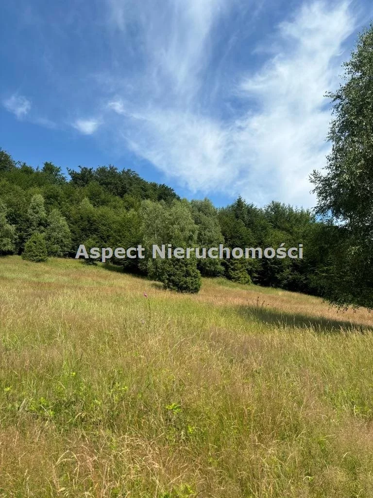 Działka 25 399,00 m², oferta nr , ASJ-GS-48975, Brenna