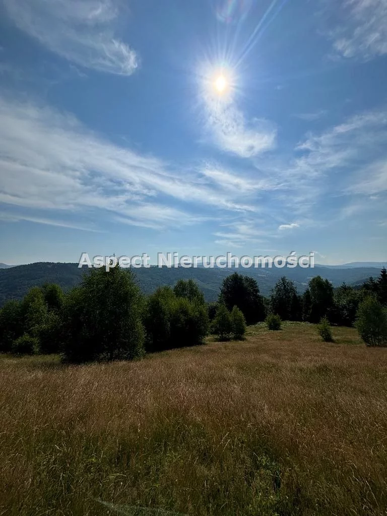 Działka 25 399,00 m², oferta nr , ASJ-GS-48975, Brenna