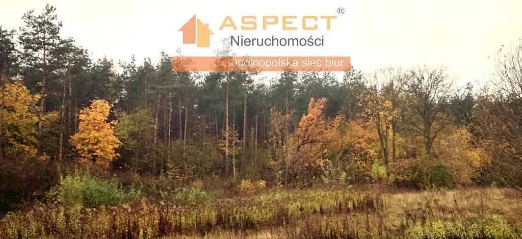 Działka 25 000,00 m², oferta nr , APO-GS-49808, Brudzeń Duży