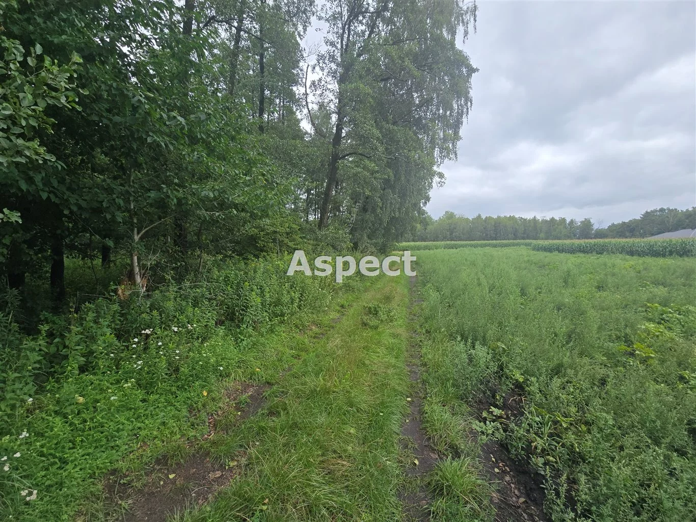 Działka 9 300,00 m², oferta nr , APO-GS-51251, Brudzeń Duży