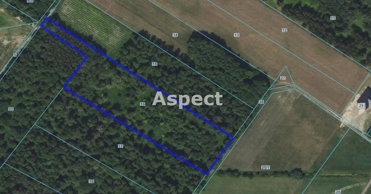 Działka 9 300,00 m², oferta nr , APO-GS-51251, Brudzeń Duży