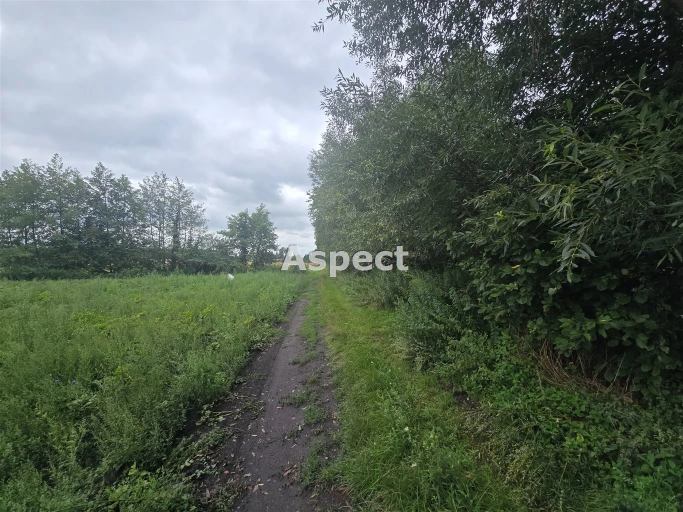 Działka 9 300,00 m², oferta nr , APO-GS-51251, Brudzeń Duży