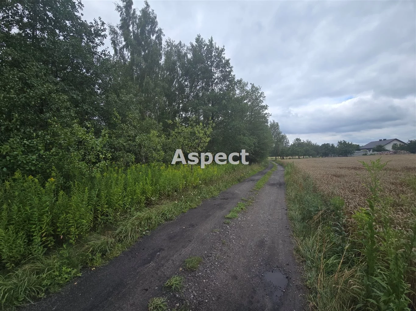 Działka 9 300,00 m², oferta nr , APO-GS-51251, Brudzeń Duży