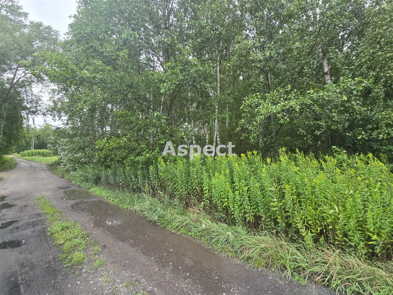 Działka 9 300,00 m², oferta nr , APO-GS-51251, Brudzeń Duży