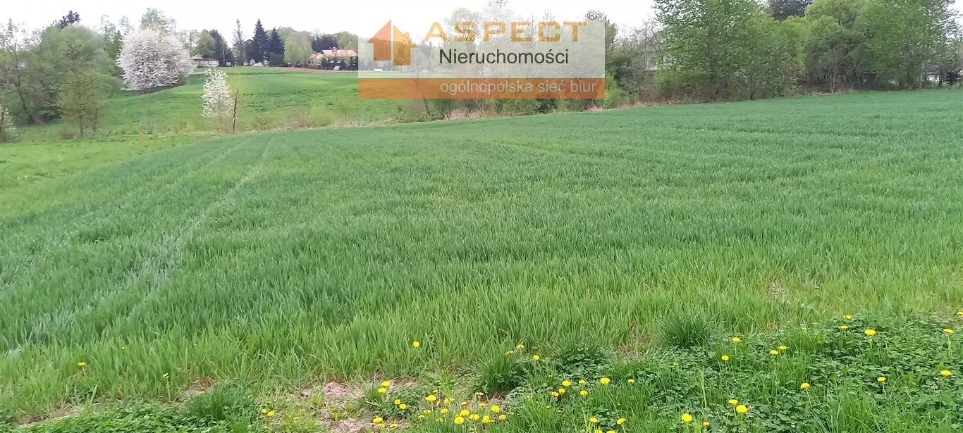 Działka 1 973,00 m², oferta nr , ASR-GS-48447, Chmielnik