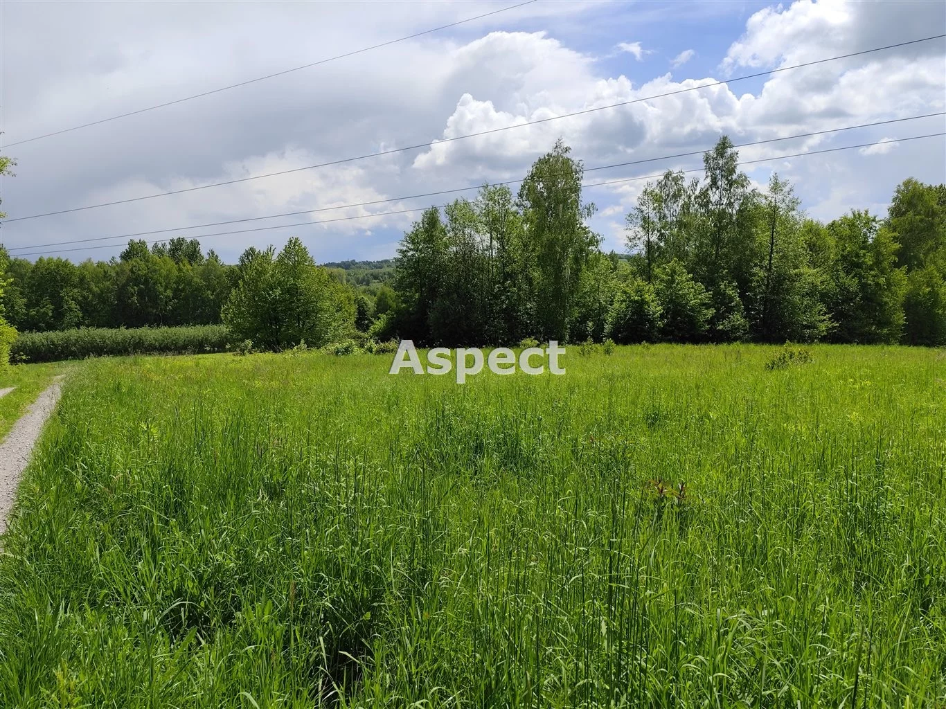 ASR-GS-50614 - zdjęcie nr 3