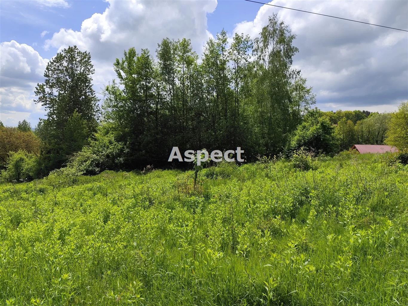 Działka 8 800,00 m², oferta nr , ASR-GS-50614, Chmielnik