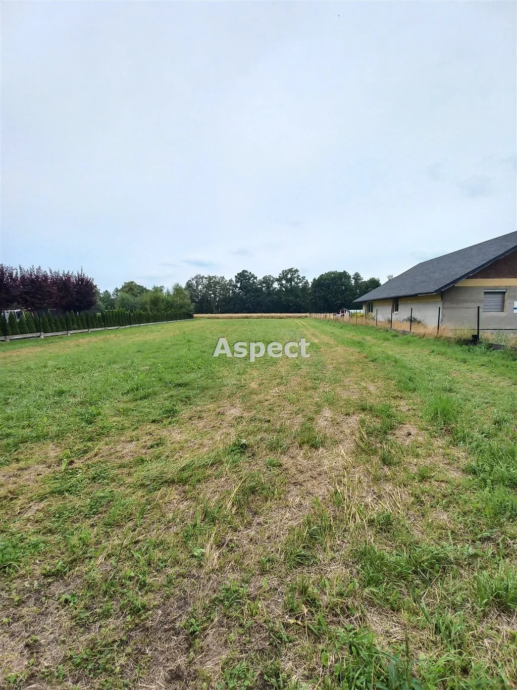 Działka 1 549,00 m², oferta nr , ASP-GS-49865, Chybie