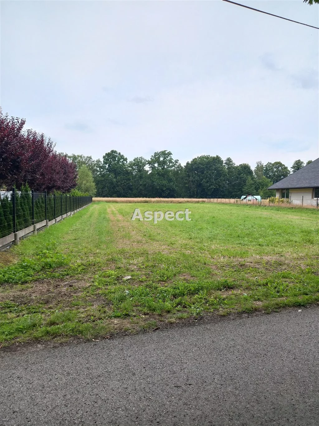 ASP-GS-49865 - zdjęcie nr 3