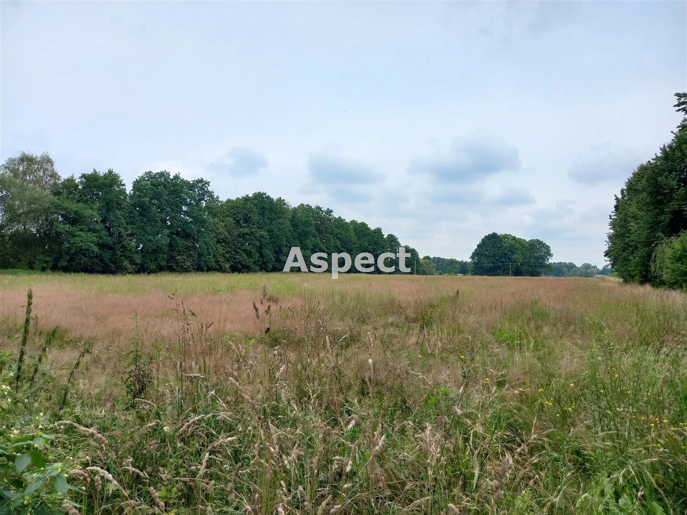 Apartamenty ASP-GS-50968 Chybie