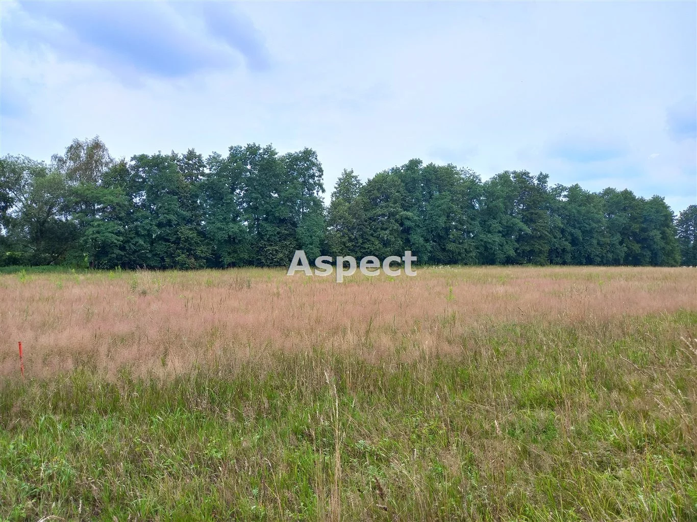 Działka 1 064,00 m², oferta nr , ASP-GS-50968, Chybie