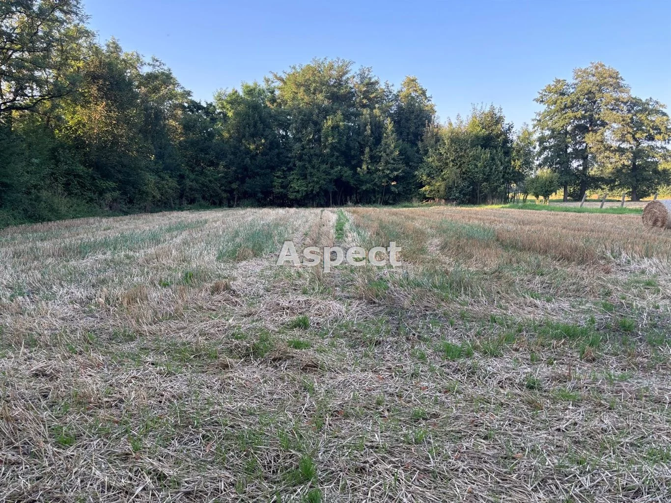 Apartamenty ASJ-GS-51053 Chybie