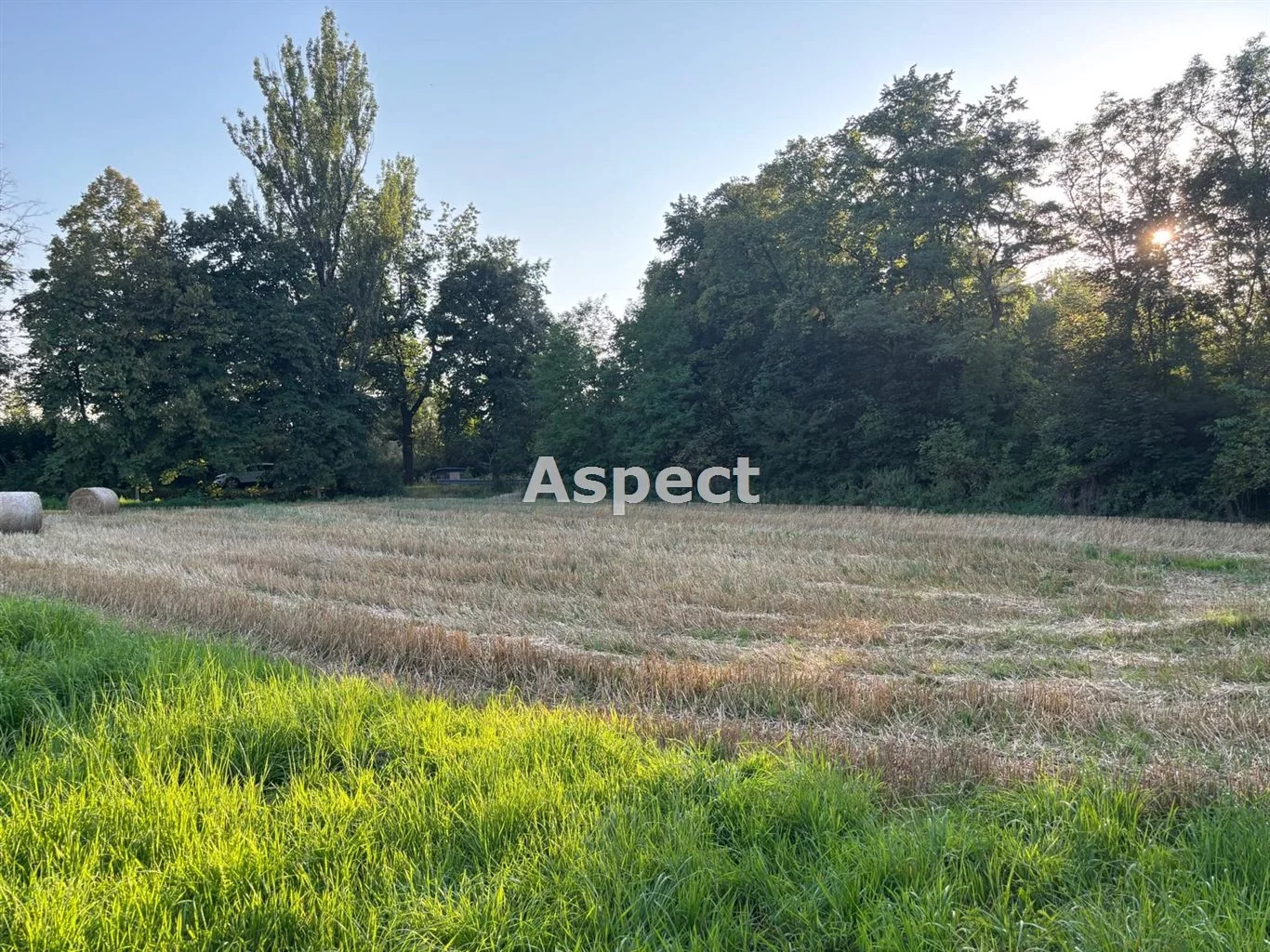 Działka 1 577,00 m², oferta nr , ASJ-GS-51053, Chybie