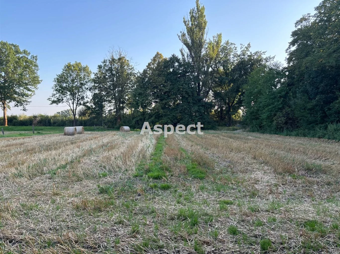 Działka 1 577,00 m², oferta nr , ASJ-GS-51053, Chybie