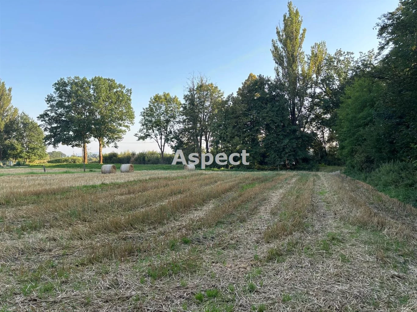 Działka 1 577,00 m², oferta nr , ASJ-GS-51053, Chybie