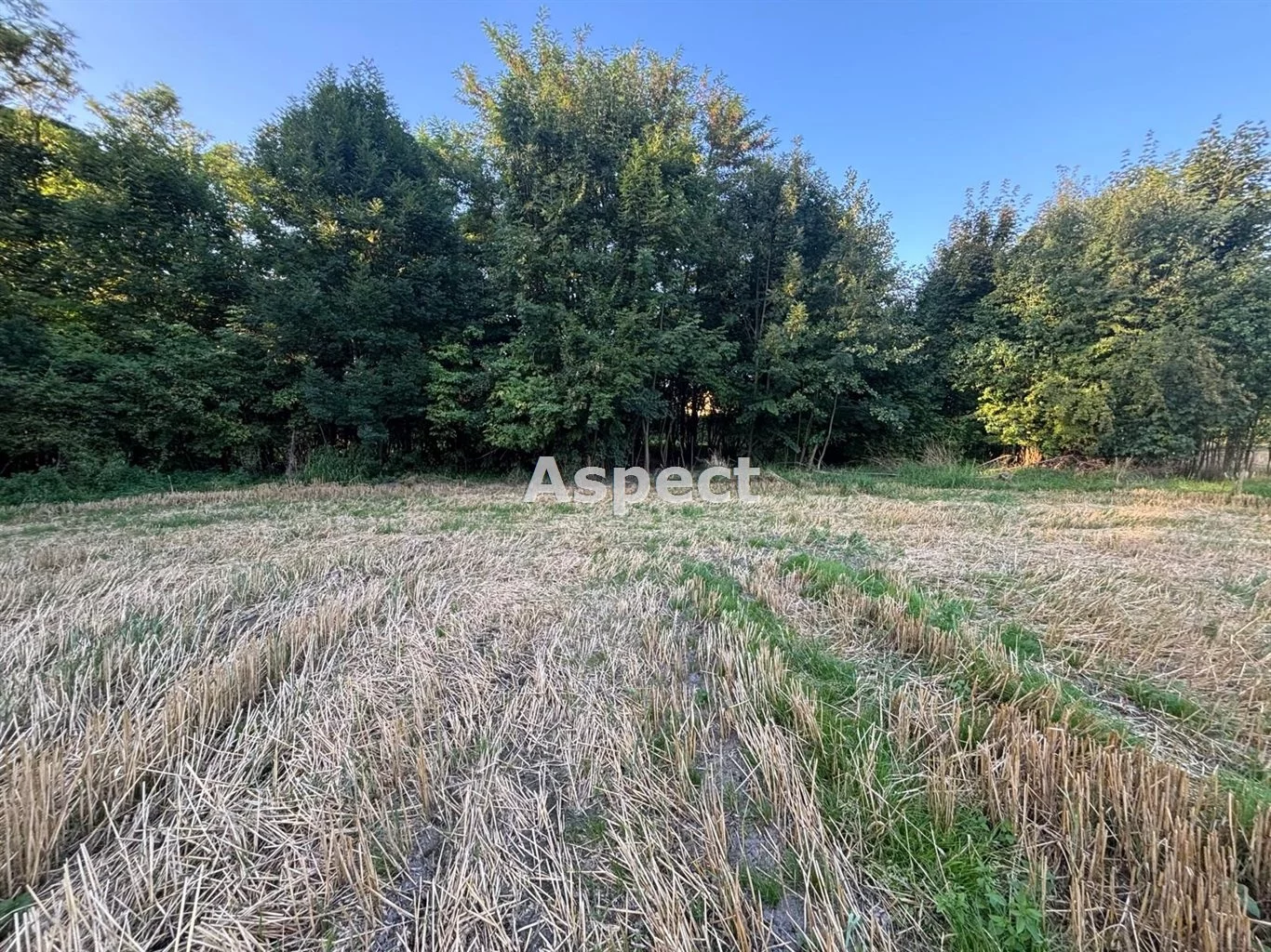 Apartamenty ASJ-GS-51054 Chybie