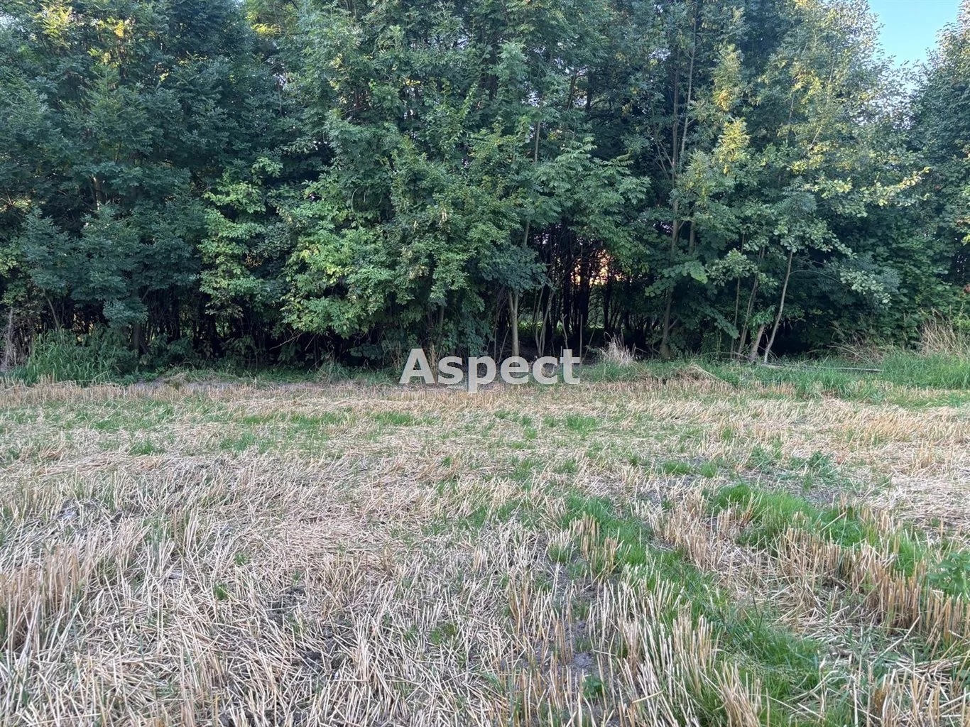 ASJ-GS-51054 - zdjęcie nr 0