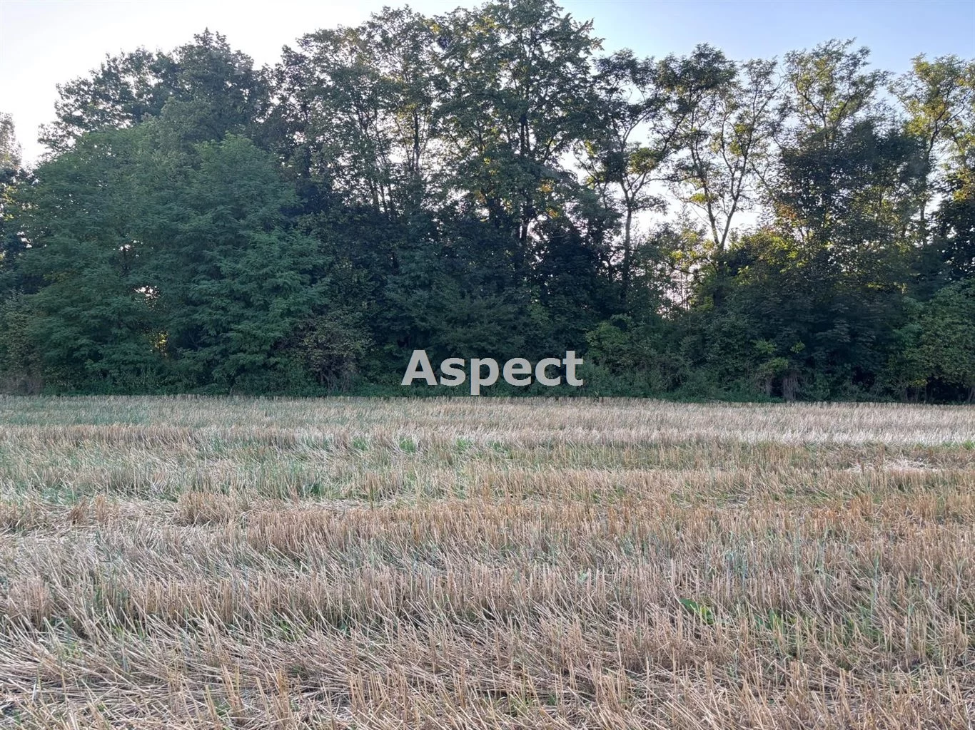 Działka 1 420,00 m², oferta nr , ASJ-GS-51054, Chybie