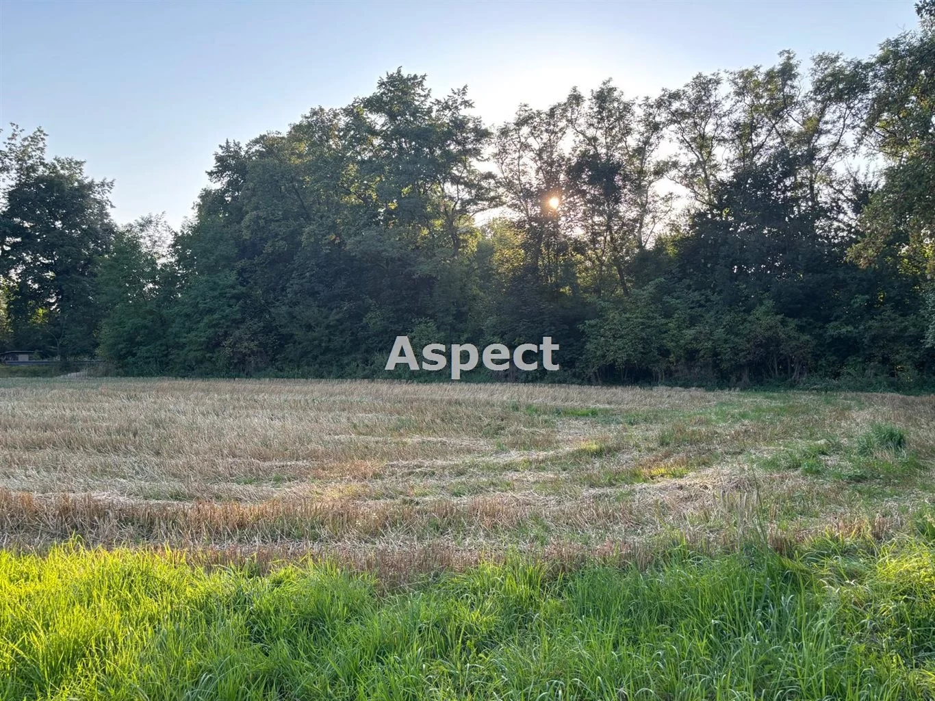 Działka 1 420,00 m², oferta nr , ASJ-GS-51054, Chybie