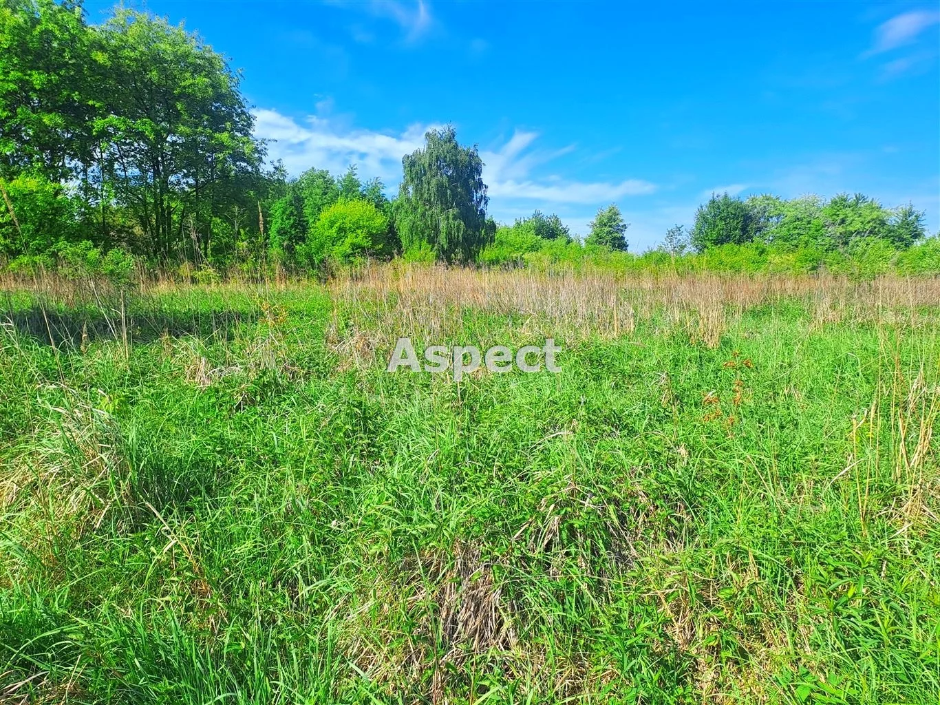 ASR-GS-50570 - zdjęcie nr 0