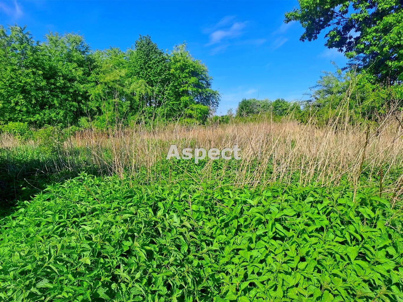 Działka 654,00 m², oferta nr , ASR-GS-50570, Dębica