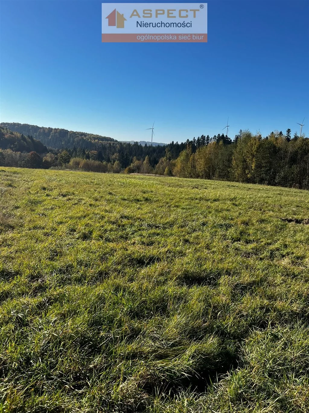 Działka 6 447,00 m², oferta nr , ASR-GS-49708, Dynów