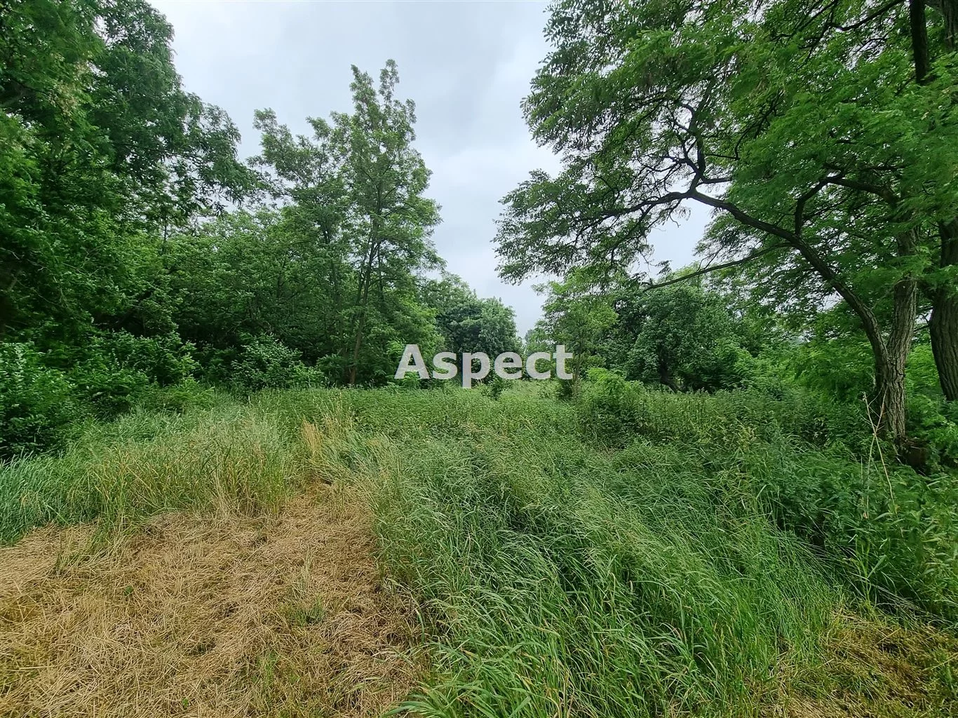 APO-GS-50842 - zdjęcie nr 3