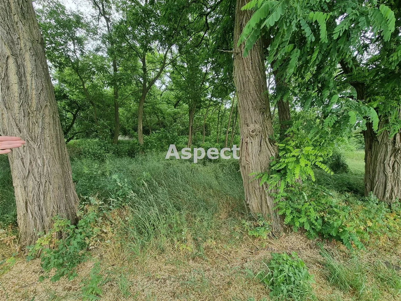 Działka 1 466,00 m², oferta nr , APO-GS-50837, Gąbin
