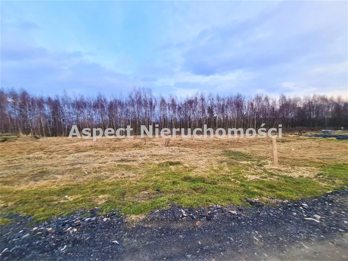 Działka 973,00 m², oferta nr , ASJ-GS-45896, Godów