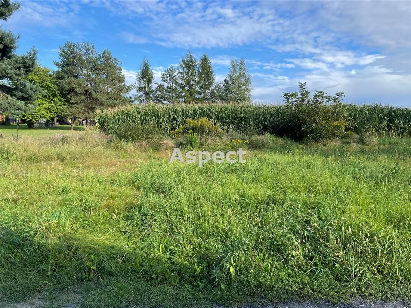 Działka 747,00 m², oferta nr , ASJ-GS-51176, Godów