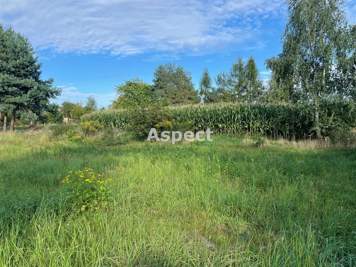 Działka 747,00 m², oferta nr , ASJ-GS-51176, Godów