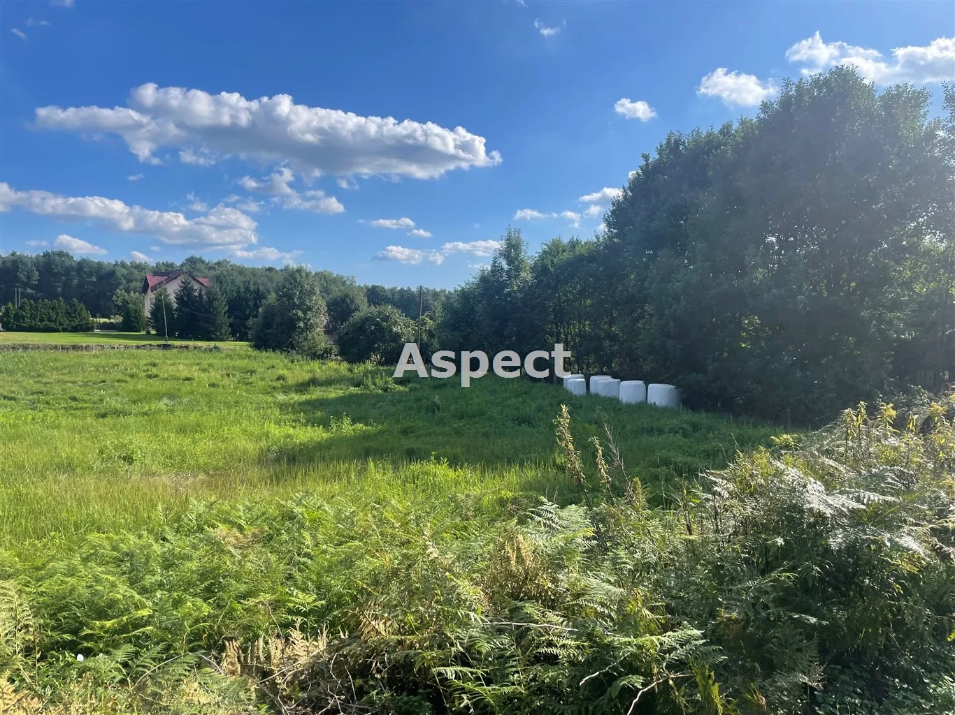 Działka 5 045,00 m², oferta nr , ASJ-GS-51201, Godów