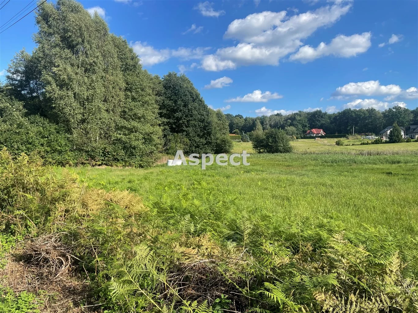 Działka 5 045,00 m², oferta nr , ASJ-GS-51201, Godów