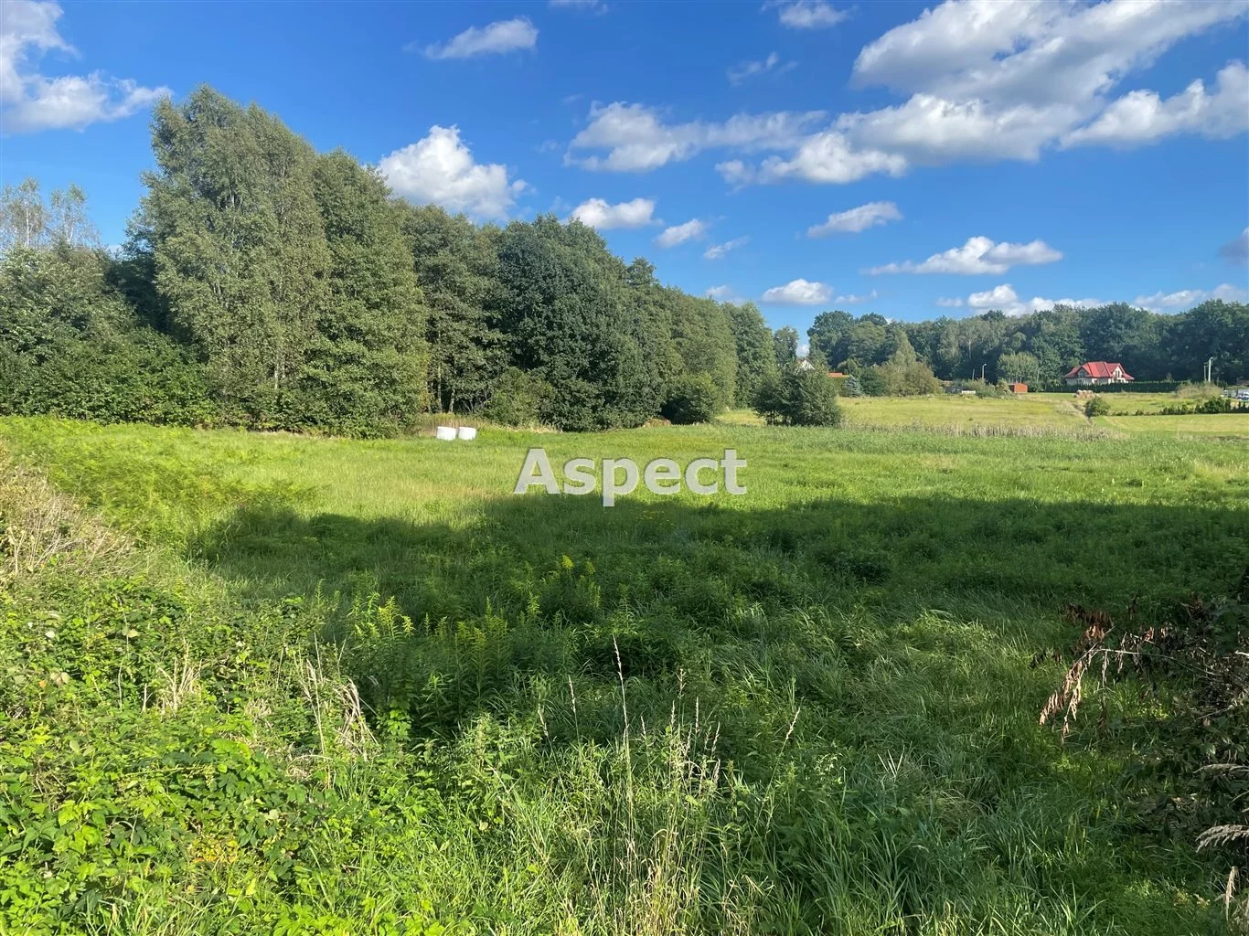 Działka 5 045,00 m², oferta nr , ASJ-GS-51201, Godów