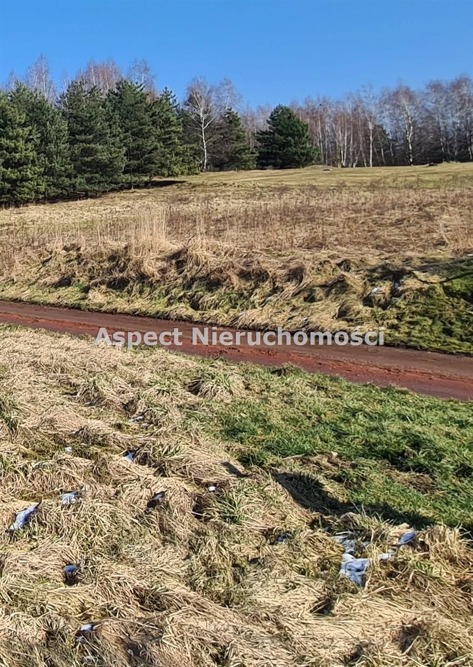 Działka 978,00 m², oferta nr , ASJ-GS-45783, Gorzyce