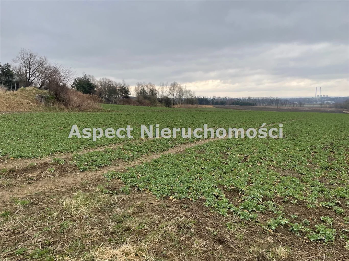 ASJ-GS-50353 - zdjęcie nr 0