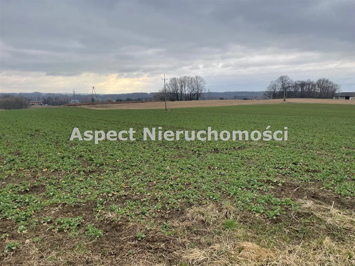 ASJ-GS-50353 - zdjęcie nr 1