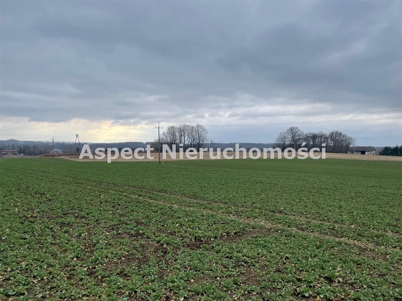 ASJ-GS-50353 - zdjęcie nr 2