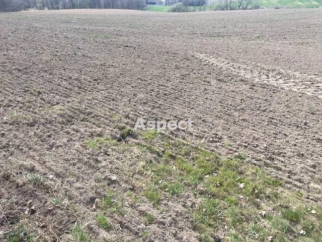 ASJ-GS-50441 - zdjęcie nr 0