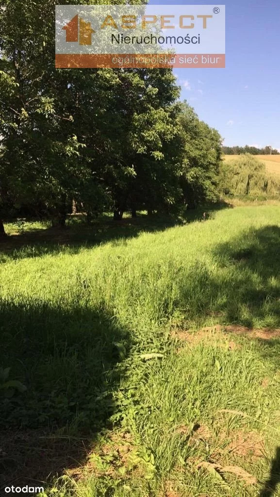 Działka 9 100,00 m², oferta nr , ASR-GS-42629-46, Iwierzyce