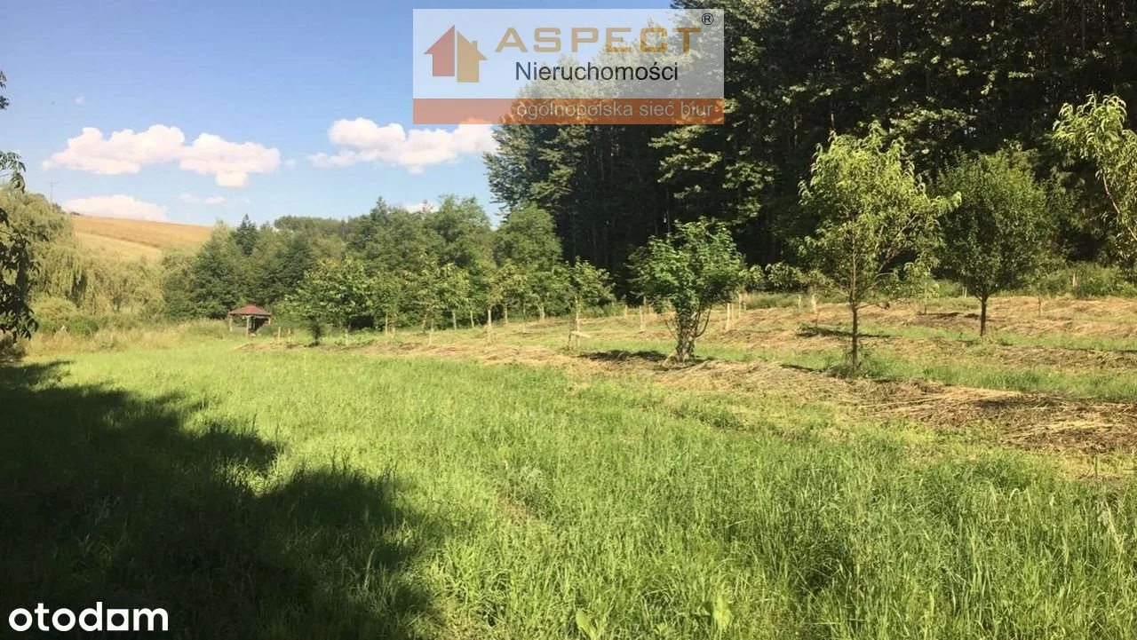 Działka 9 100,00 m², oferta nr , ASR-GS-42629-46, Iwierzyce