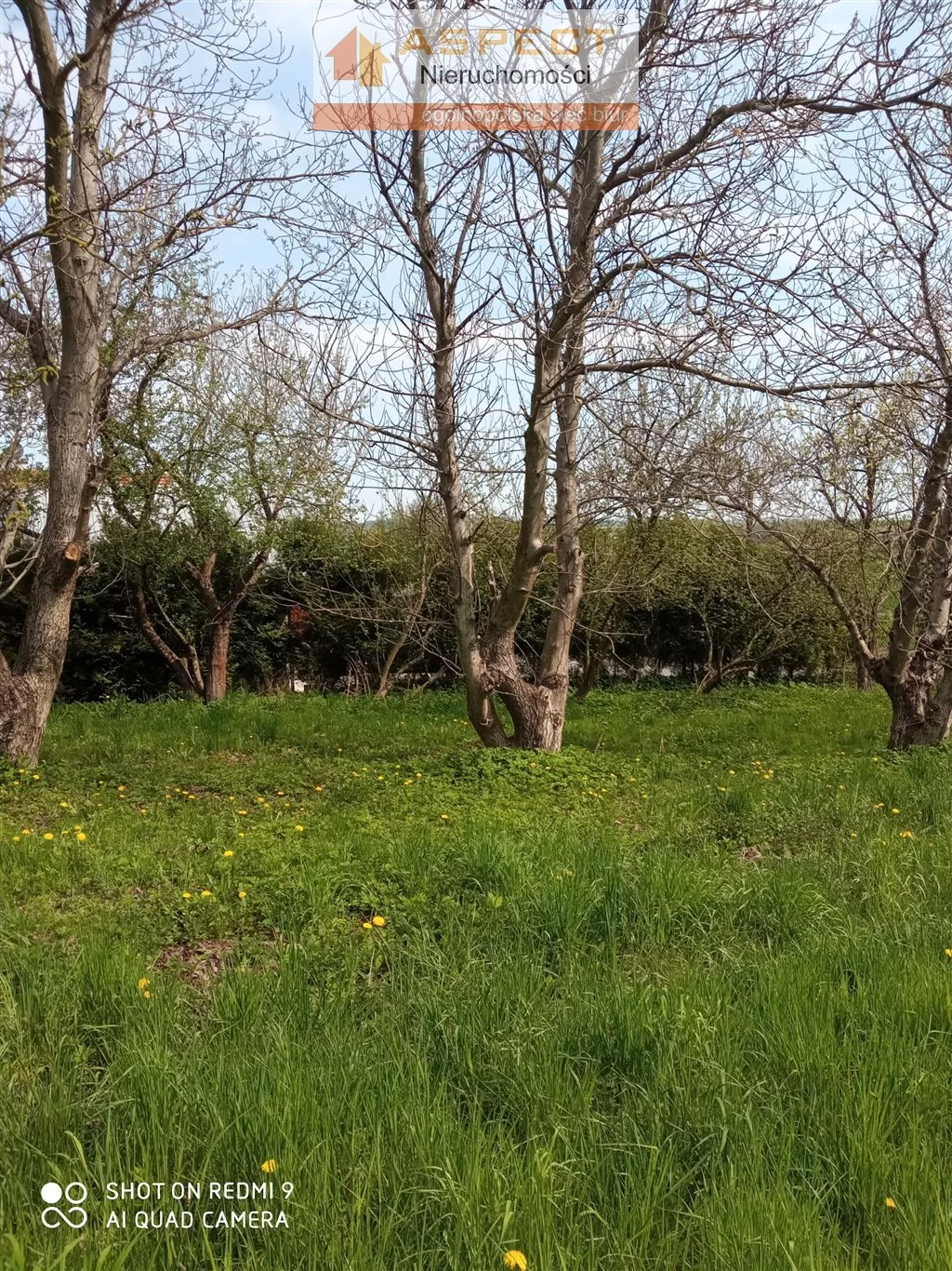 Działka 9 100,00 m², oferta nr , ASR-GS-42629-46, Iwierzyce