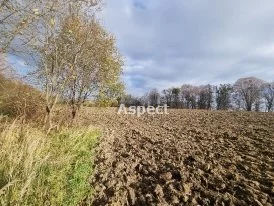 Działka 42 169,00 m², oferta nr , APK-GS-51190, Jasienica