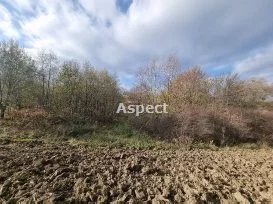 Działka 42 169,00 m², oferta nr , APK-GS-51190, Jasienica