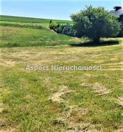 Działka 3 964,00 m², oferta nr , ASJ-GS-45802, Jastrzębie-Zdrój